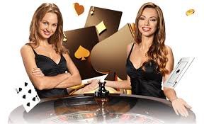 5588bet